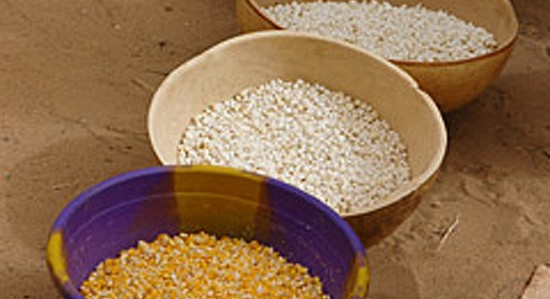 ricebowls