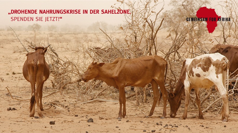 Sahelzone - Bitte helfen Sie!