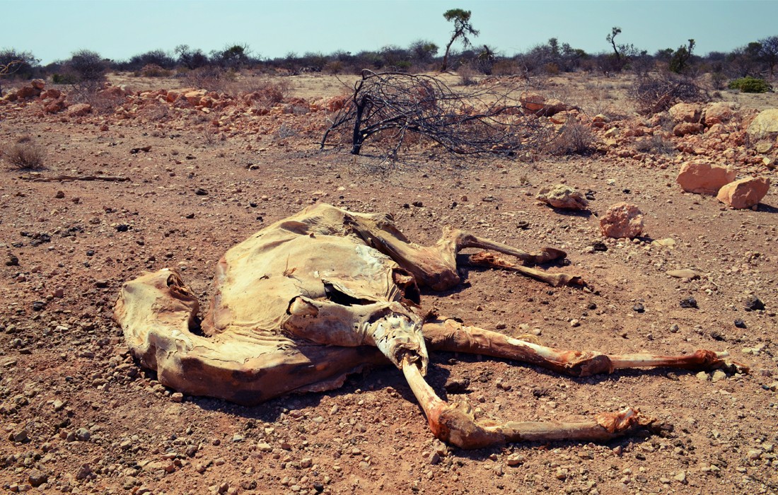 Afrika Klimawandel