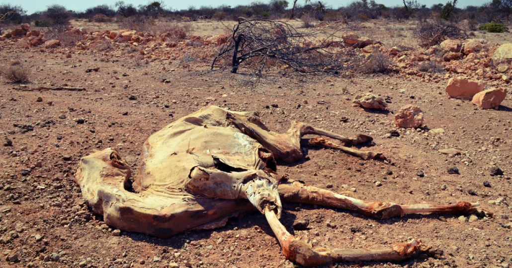 Der Klimawandel ist mit verantwortlich für Dürre und Hunger._©arche noVa