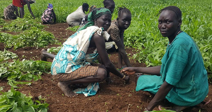 Vertriebene südsudanesische Bäuerinnen und Bauern Foto: ADRA Deutschland
