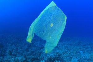 Eine Plastiktüte schwimmt im Meer. 13 Millionen Tonnen Plastikmüll kommen jährlich hinzu. Ein Plastiktütenverbot soll helfen. _© MichaelisScientists