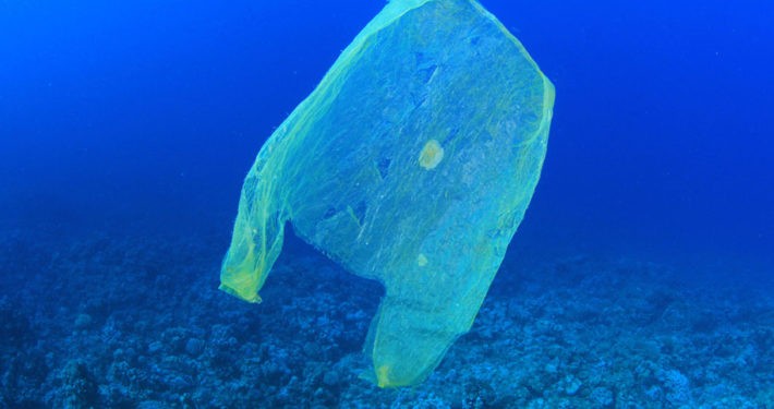 Eine Plastiktüte schwimmt im Meer. 13 Millionen Tonnen Plastikmüll kommen jährlich hinzu. Ein Plastiktütenverbot soll helfen. _© MichaelisScientists