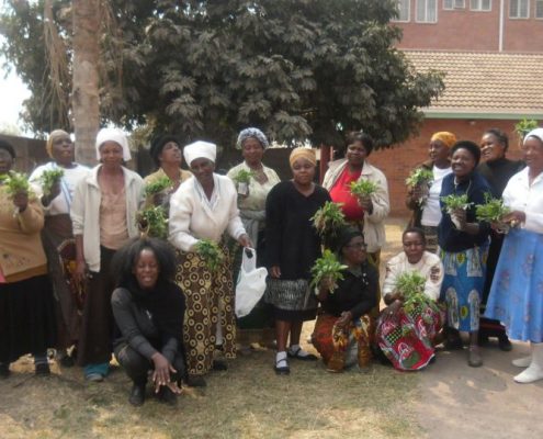 Simbabwe: Frauen stärken gegen Diskriminierung© Aktionsgemeinschaft Solidarische Welt e.V.