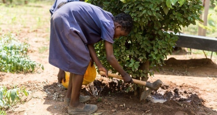 Ein Mädchen bei der Gartenarbeit in Sambia_©Gemeinsam für Afrika/Florian Oellers