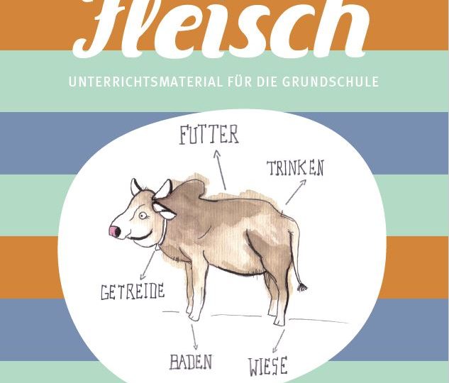 Modul Fleisch GS_©GEMEINSAM FÜR AFRIKA