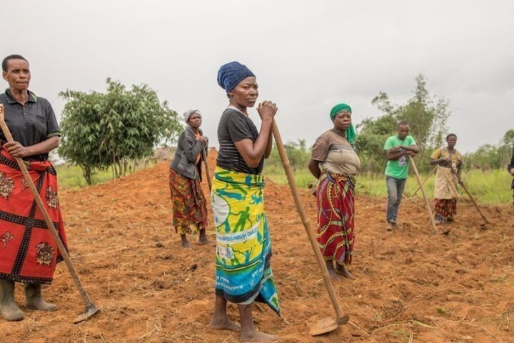 CARE trainiert Frauen und Männer in der Herstellung von Dünger aus Asche, Erde und organischen Blättern._© Timothy Buckley/CARE