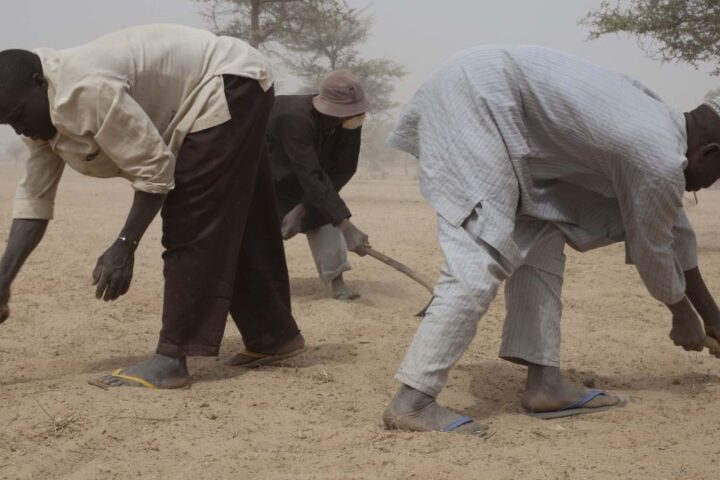 Bauern in der Sahelzone_©CARE