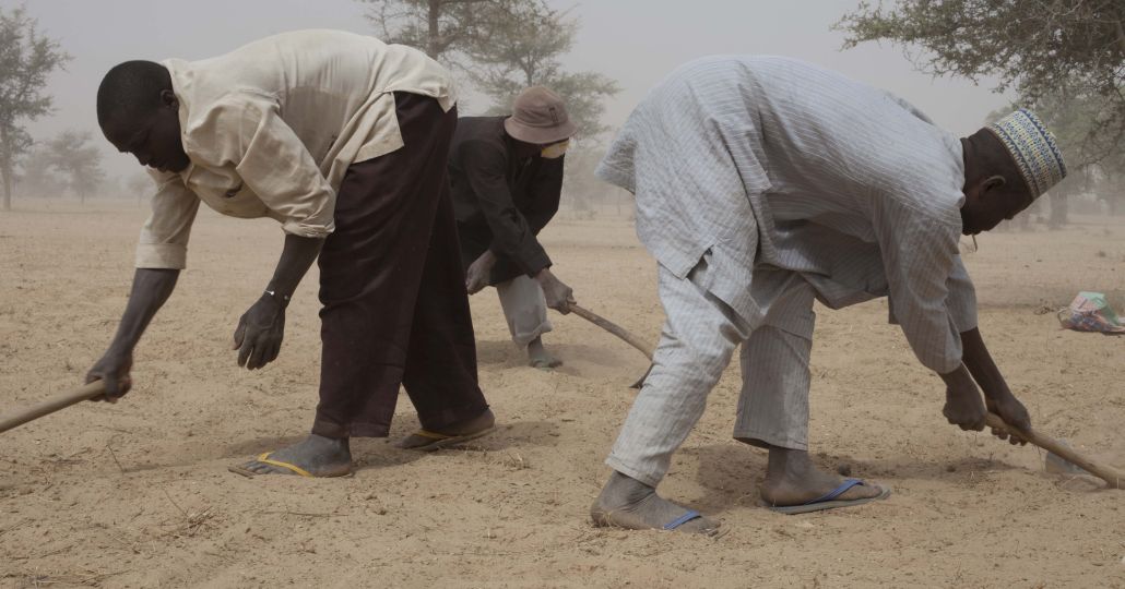 Bauern in der Sahelzone_©CARE