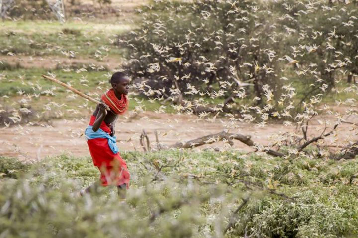 _©picture alliance / AP Images