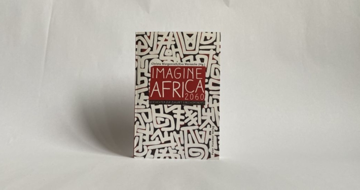 Imagine Africa 2060 (Buch)