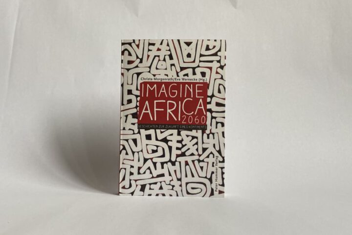 Imagine Africa 2060 (Buch)