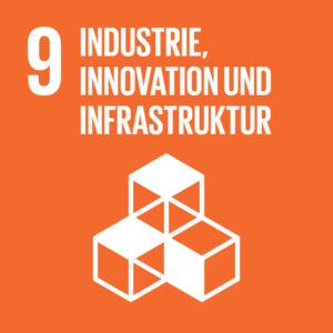 SDG Icon 9