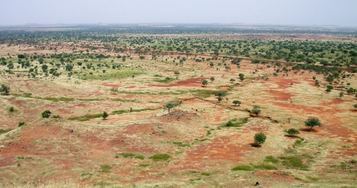 Great Green Wall