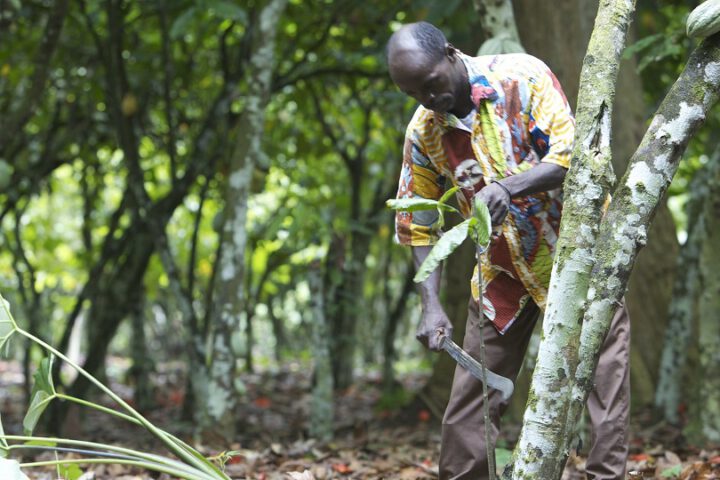 Symbolbild: Lieferkettengesetz