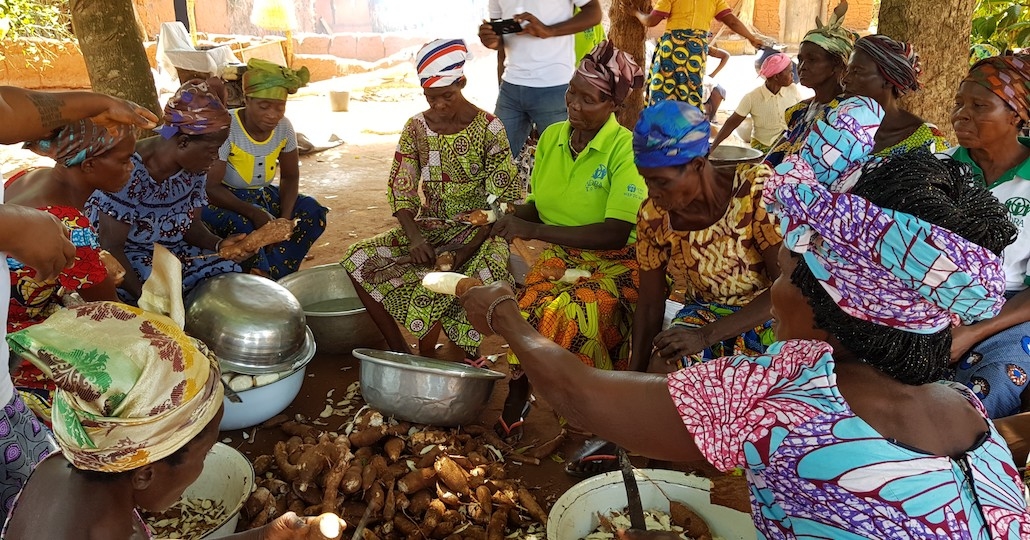 Togo: Ökologische Landwirtschaft_© ADRA