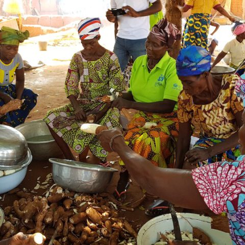 Togo: Ökologische Landwirtschaft_© ADRA