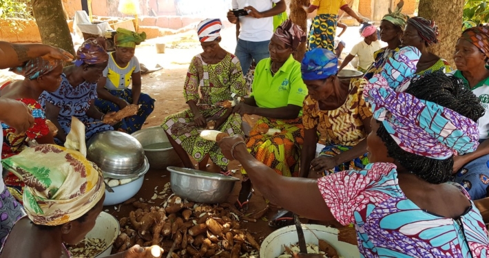 Togo: Ökologische Landwirtschaft_© ADRA