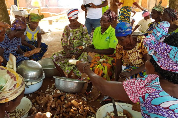 Togo: Ökologische Landwirtschaft_© ADRA