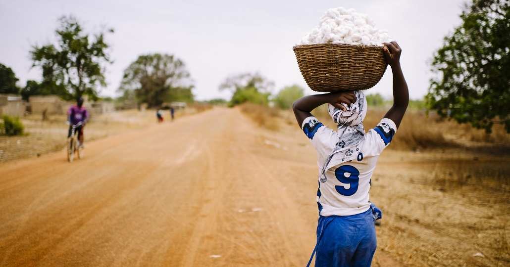 Symbolbild: Kinderarbeit auf Baumwollplantagen
