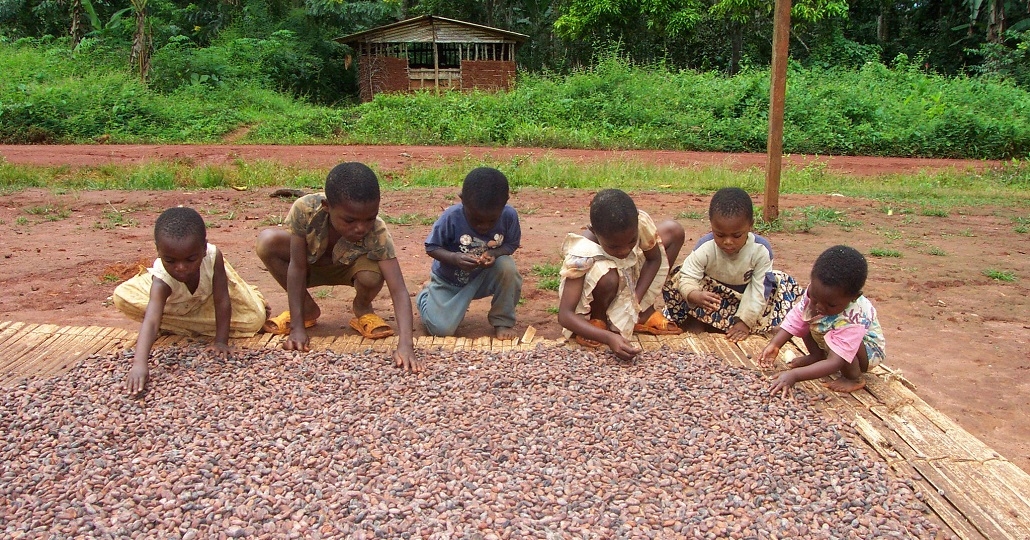 Kinderarbeit Auf Kakaoplantagen Nimmt Zu Gemeinsam Fur Afrika
