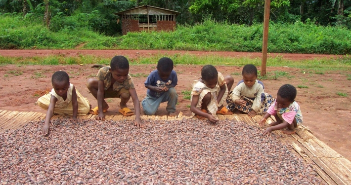 Kinderarbeit auf Kakaoplantagen