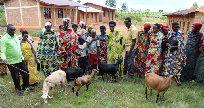 Ziegenzucht in Burundi © ora Kinderhilfe