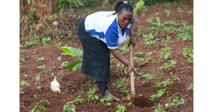 Uganda_Frau arbeitet auf dem Feld_©GEMEINSAM FÜR AFRIKA / Trappe