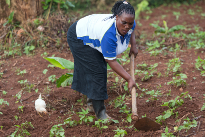 Uganda_Frau arbeitet auf dem Feld_©GEMEINSAM FÜR AFRIKA / Trappe