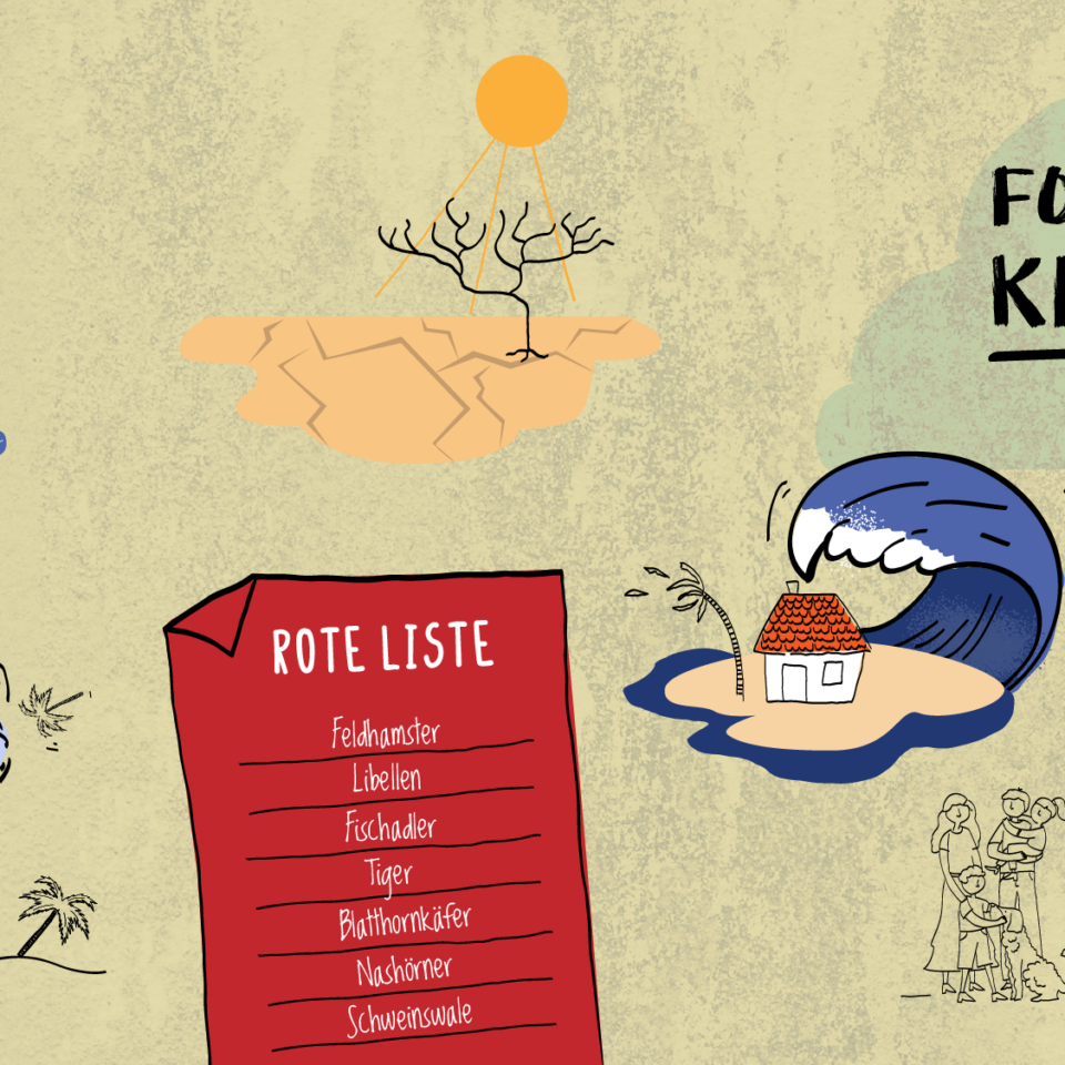 Folgen der Klimakrise in Afrika und Europa_©GEMEINSAM FÜR AFRIKA