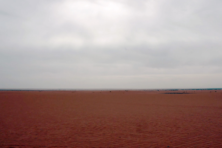 _ARTE / © 2021 Point du Jour/Les Films du Balibari/DS Productions/Steps/ARTE