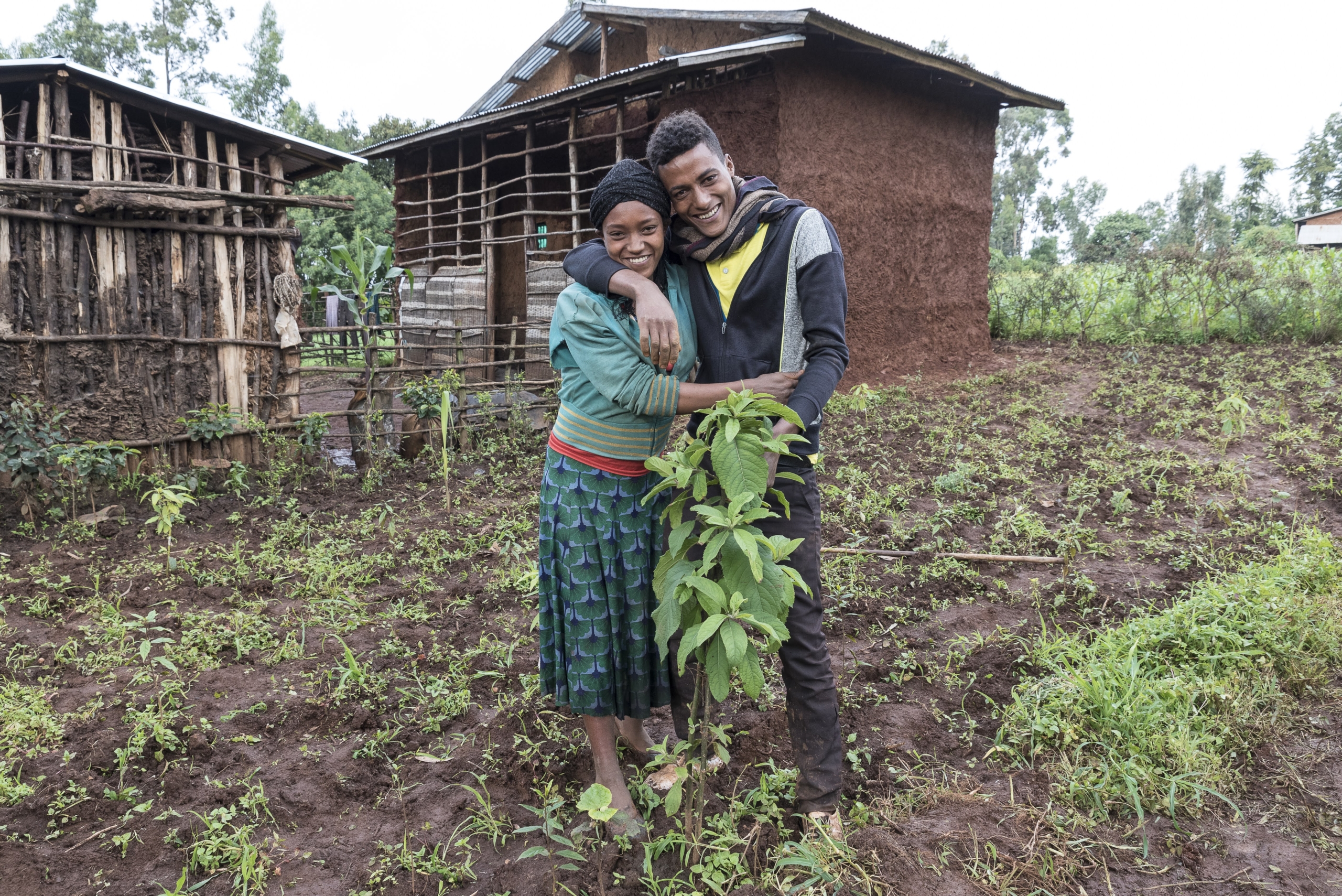 Das Hunger Projekt in Äthiopien: Aufforsten für die Zukunft