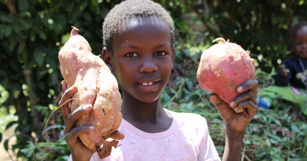 ChildFund in Kenia: Süßkartoffelanbau für Ernährungssicherheit