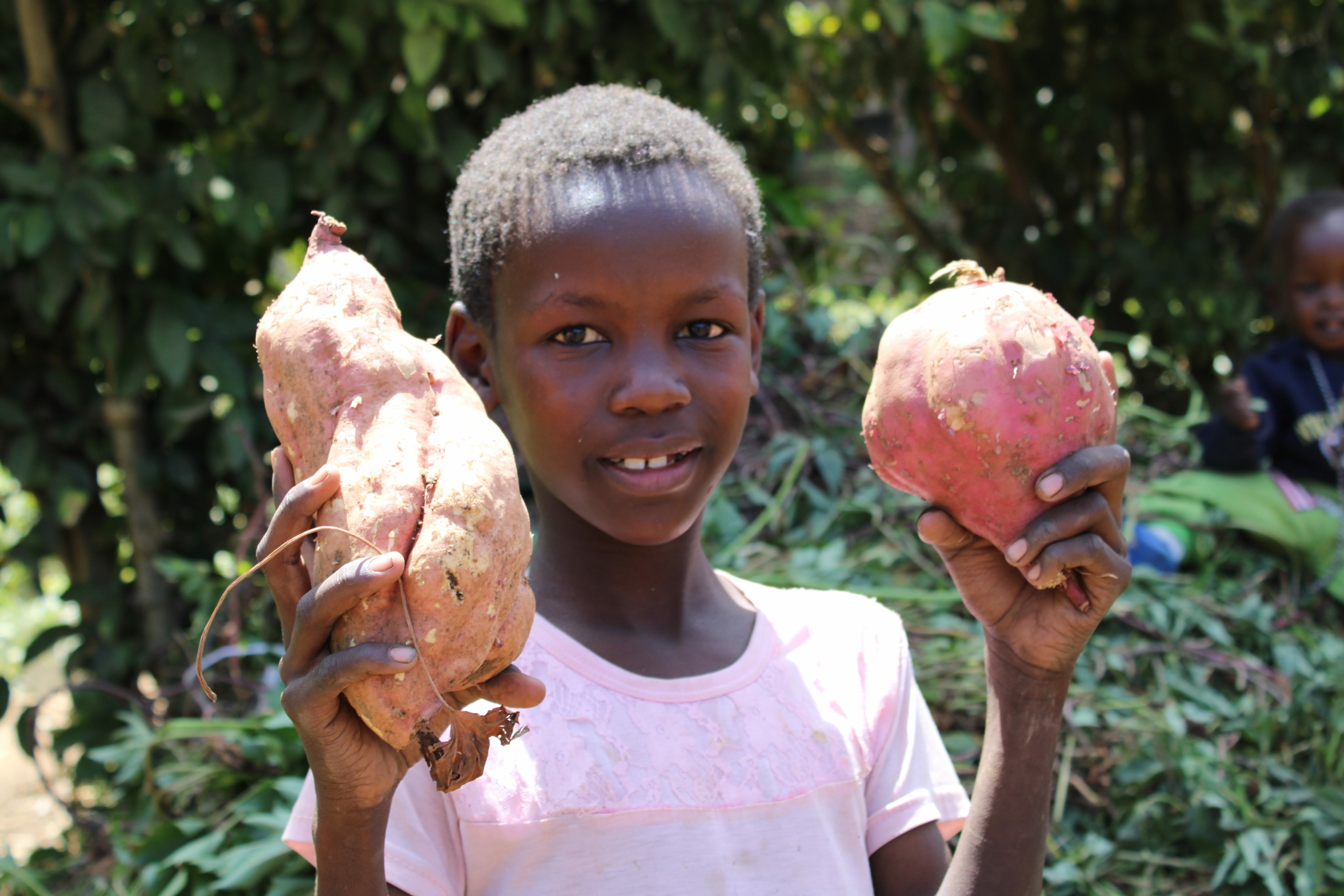 ChildFund in Kenia: Süßkartoffelanbau für Ernährungssicherheit