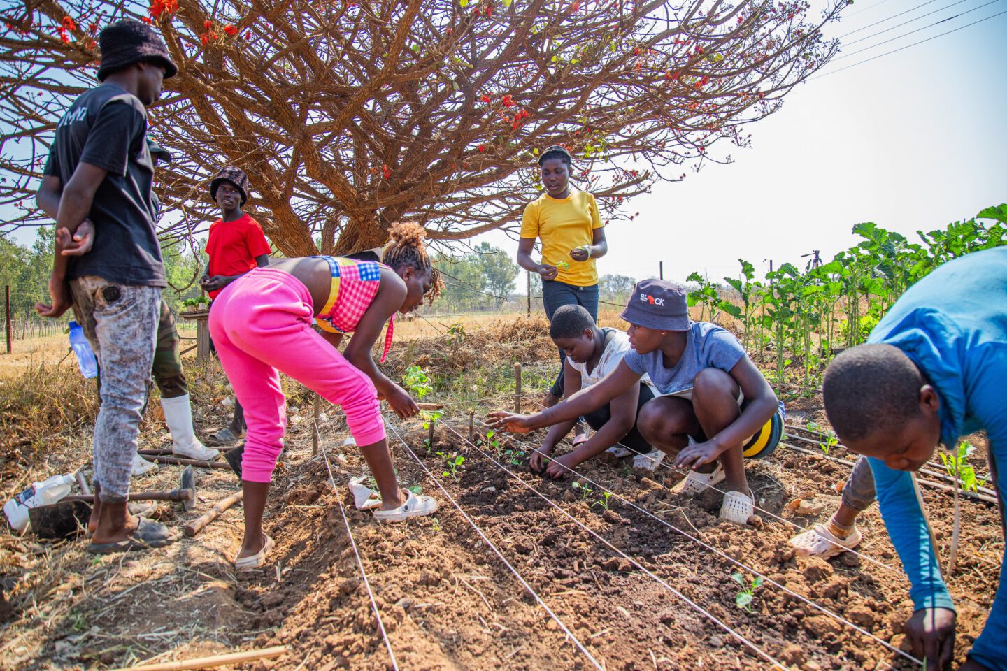 KHW GLOBAL CARE in Simbabwe: Nothilfe nach Zyklon Idai